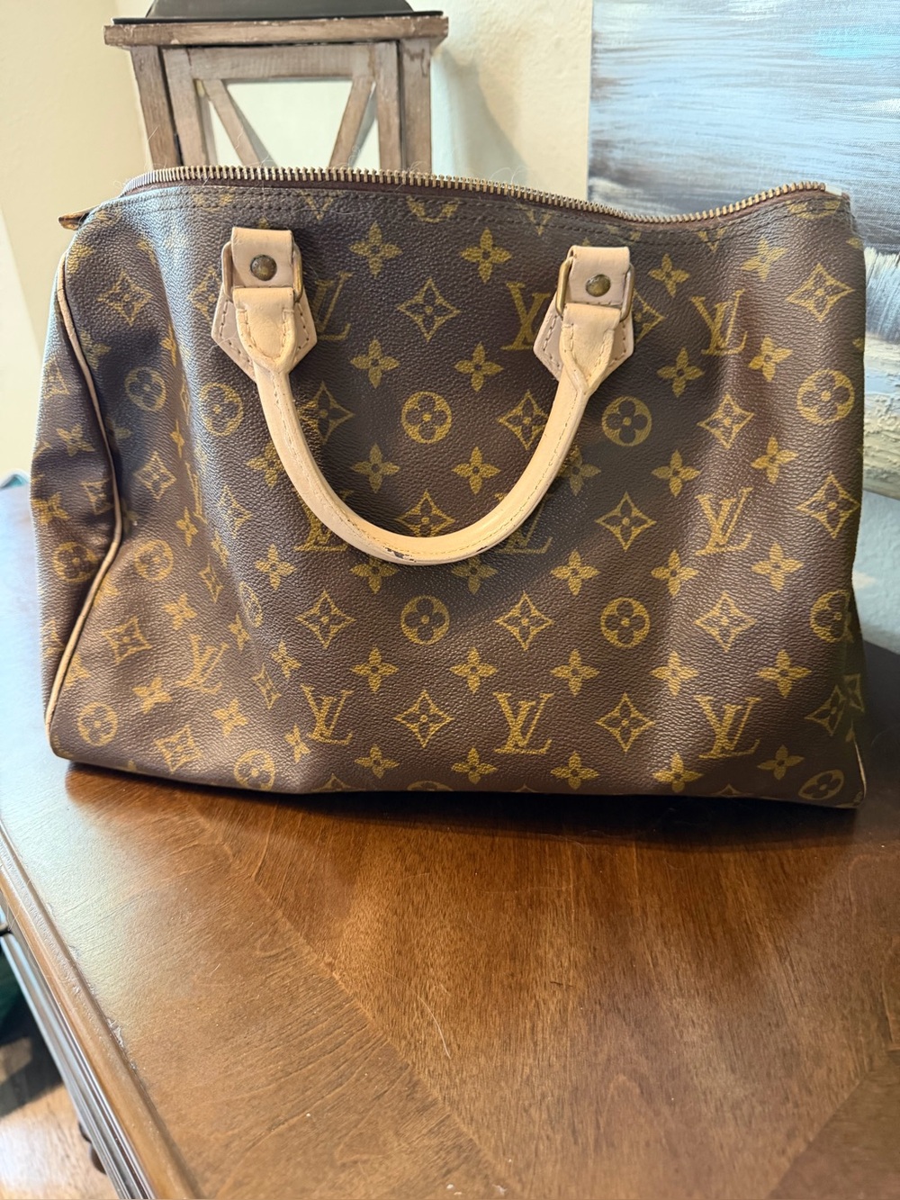 Louis Vuitton Brown Monogram Satchel  Painted project bag